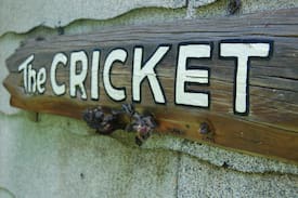 Historic District House | The Cricket- An amazing Tiny House!