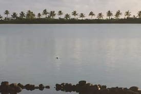 Sale'aula Apartment | Bayview Apartment @ Beautiful Savaii
