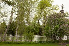Olmsted County Other | The Farmhouse