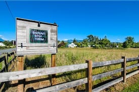 Monroe Other | Blueberry Ridge Farm