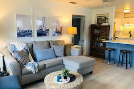 Dunedin Cabin | The Blue Bay Cottage, in Downtown Dunedin!