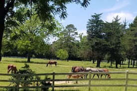 Goodrich Other | Trinity River Resort and Ranch Slot 2
