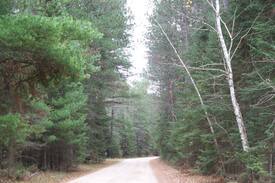 Bigfork Cabin | Twin Pines