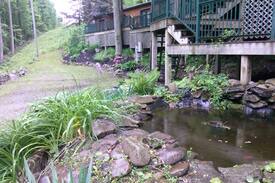 Elkins Cabin | Pet friendly cabin rental near Elkins, WV