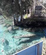 Homosassa Springs House | Mermaid's Rest Bed and Breakfast