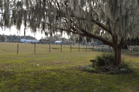 Citra House | Donkey Song Farm
