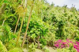 Bellevue Bed & Breakfast | La Villa Hibiscus