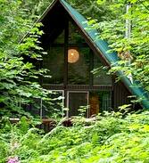 Skykomish Cabin | Four Seasons Skykomish! 13 Miles to Steven's Pass