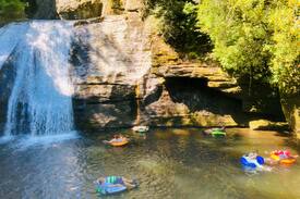 Cashiers Cabin | A Unicorn! 8 Acres Ponds Private waterfall trails!
