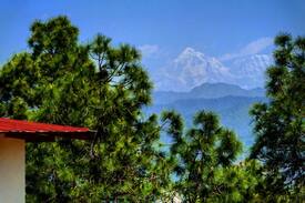 Majkhali Cabin | Sharanam-a paradise Himalayan getaway, Ranikhet