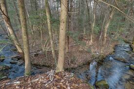 Monteagle House | Peace By the Creek-The Retreat at Deer Lick Falls