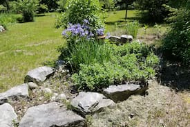 Harbor Springs Bed & Breakfast | Cycle Inn -Rooms for Rent-B&B Style Master Bedroom
