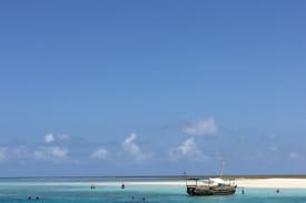 Diani Beach Villa | *The African Art House* by the beach! King bed!