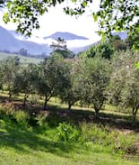 Franschhoek Cabin | Cabernet Cottage . . . Be still and know . . .