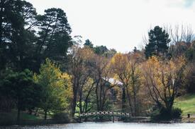 Daylesford Cabin | Aveley Cottage | Walk to town | Air Con |