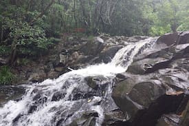Zara Cabin | Waterfall Hideout RainforestRetreat
