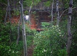 Livingston Cabin | Granny's Off-the-Grid. A sweet retreat