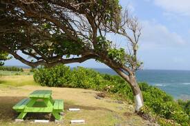 Bayfield Cabin | Best View In Barbados - Faraway Cottage
