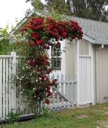 Southwest Santa Rosa House | MY LITTLE FARM COUNTRY STUDIO