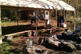 Zigzag Other | Camping @ Zigzag Mountain Farm: tent 5