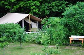 Limerick Other | Dragonfly Meadow Farm