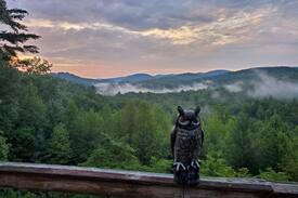 Sautee Nacoochee House | Sounds of Silence (Mountain Views)