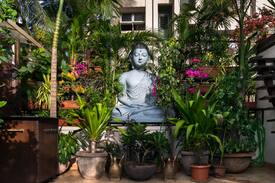 Bandra West Apartment | Lush, Green Abode in Bandra, Mumbai