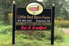 Emporium Apartment | Alpaca Retreat Off-Grid Farmstay