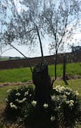 Delburn Other | Milly & Plette Farm Cottage B&B