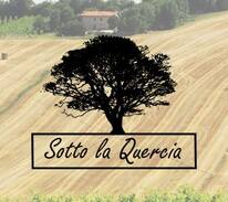 Ostra Apartment | Sotto La Quercia a Ostra prov. Ancona nelle Marche