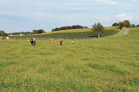 Manheim Other | Airy Hill Ranch Amish Guesthouse - Lancaster PA