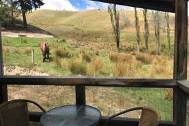 Blenheim Other | Homebrook Cottage