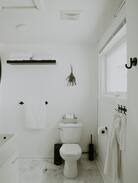 Port Perry Apartment | Take Care Studio - cozy, modern, dog friendly.