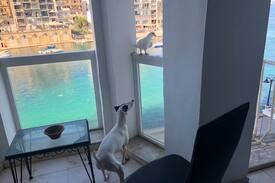 Paceville Apartment | St Julian’s ( spinola bay ) sea front apartment