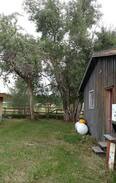 Victor House | Chapin Country Store Cabin.