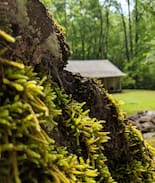 Hendersonville Other | Mossy Creek Cabin at Skybrook Farms