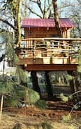 Philomath Other | The Treehouse Retreat