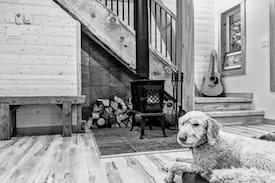 Courtenay Cabin | Forbidden Plateau Cabin. A mountain oasis !...