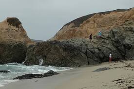 Bodega Bay Cabin | Harbor Cutie Family Friendly Centrally Located