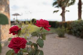 Pegeia Villa | Luxury Sea View Villa Kyklamino Coral Bay
