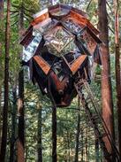Felton Other | The Pinecone Treehouse