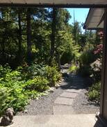 Tofino House | Tree Frog Suite