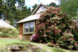 Wentworth Falls House | Wentworth Falls Darwin Lodge