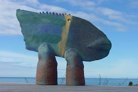 Kaiteriteri House | Mudfish Bach