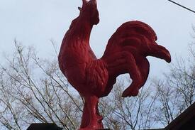 Burnsville Villa | Red Rooster Chalet in Burnsville NC