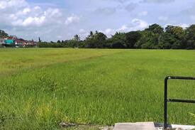 Kampung Bintong House | Teratak Qisya Homestay,Taman Bintong Aman, Kangar