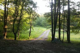 Naples Cabin | East hill cabins #1