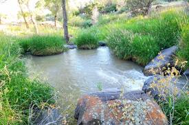Cedaredge Other | Grand Mesa 20 acre modern ranch house