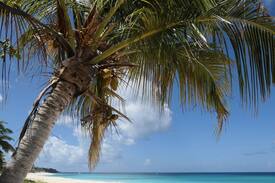 Shoal Bay House | Villa Catalina, two bedroom cottage with seaview