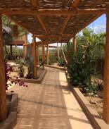 Cabo Pulmo House | Parrot House